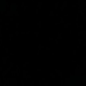 Meet your Posher, Black